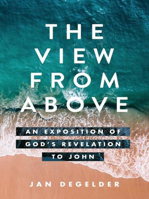 cover image of The View From Above